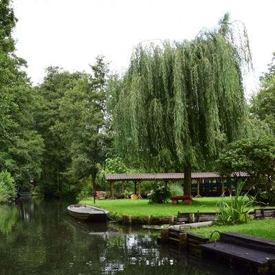 幸运28手机app下载